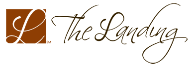 The Landing The Landing